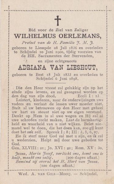 Bestand:Wilhelmus Oerlemans (1836 - 1900).jpg