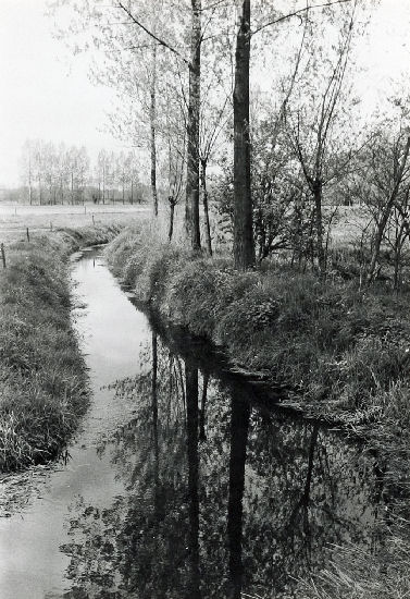 Bestand:Beek 07 - 05.jpg