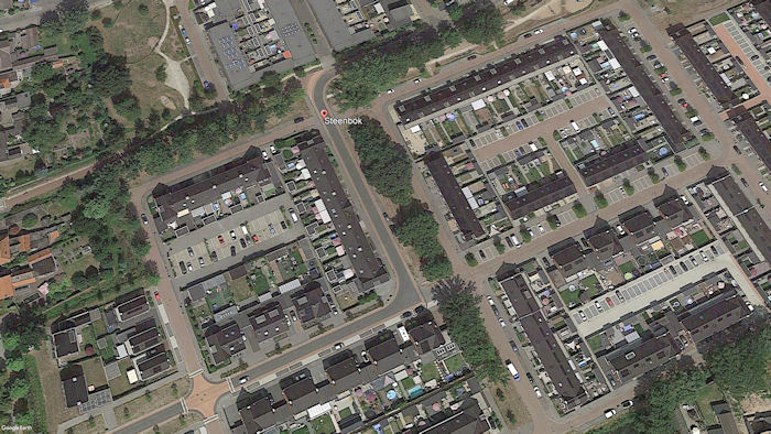 Bestand:Steenbok 01.jpg