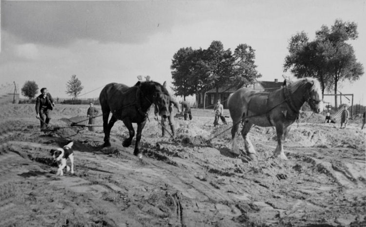 Bestand:Noodkerk 1949 - 05.jpg