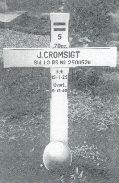 Bestand:Johannes Cromsigt (1925 - 1946) 01.jpg