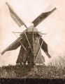 De molen "Het Hert" was een grote achtkantige bergkorenmolen, die stond aan de Boschweg. Deze molen werd in 1895 aldaar opgericht door Adrianus Merkx geboren te Schijndel in 1839. Hij bouwde de molen voor zijn schoonzoon Johannes van de Wiel, geboren in 1868 te Moergestel. De molen komt hier en daar ook met de naam "Onbevreesd" in de boeken voor. Rond het jaar 1928 werd deze molen overgedragen aan Petrus van Tartwijk, geboren in 1894 in Schijndel. Op 23 augustus 1933 werd de molen door bliksem getroffen en brandde geheel af. Voor meer details klik hier.