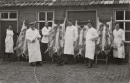 Gebroeders Van den Heuvel met personeel met geslachte varkens op de leer. Voor meer details klik hier.