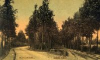 De splitsing van de Boschweg met de Molendijk. Op deze foto die is gemaakt rond 1910 zijn de tramrails zichtbaar. Voor meer details klik hier.
