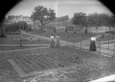 De tuin van Bolsius in 1908 bij Huize Nieuwegaard. Voor meer details klik hier.